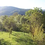 Goryanka