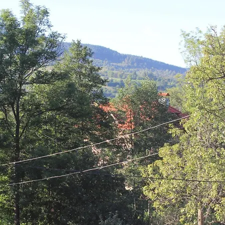 Goryanka Guest house 2*