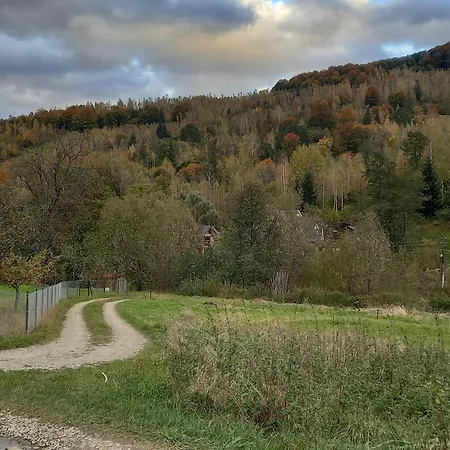 Casa de hóspedes Goryanka 2*